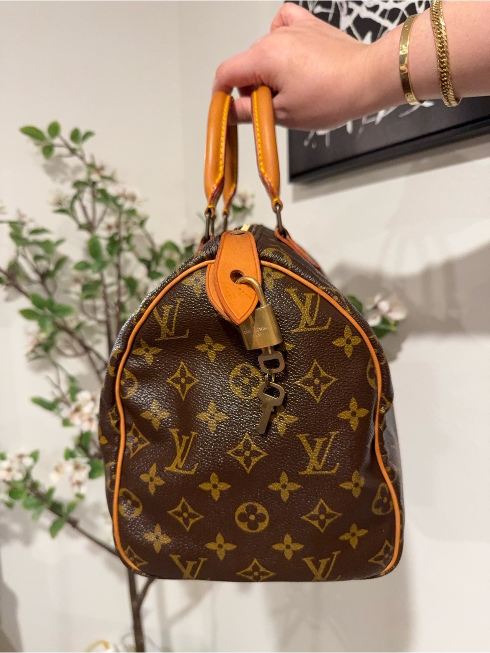 LV Speedy 30 in monogram - Picture 4 of 13